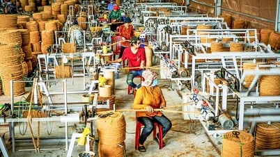 Khai thác tốt tiềm năng để phát triển bền vững