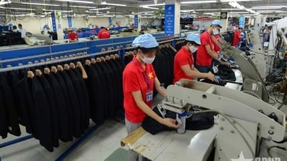 Tiến hành Tổng điều tra kinh tế từ ngày 5-1-2026