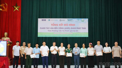 Đánh giá mô hình canh tác lúa thông minh, giảm phát thải khí nhà kính