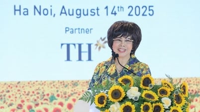 Mỗi ngày chậm trễ, giấc mơ nâng tầm vóc Việt thêm xa
