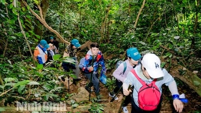 Khuyến cáo biện pháp đảm bảo an toàn cho khách du lịch