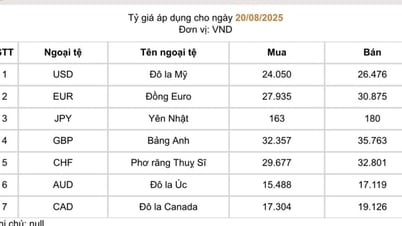 Tỷ giá USD tiếp tục tăng