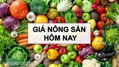 Giá nông sản hôm nay 18/8/2025: Giá cà phê còn tăng, Tiêu cung không đủ cầu; Doanh nghiệp cần làm gì trước thuế đối ứng 20% từ Mỹ?