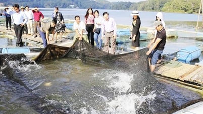 Xã Đại Lai xây dựng nông thôn mới từ mô hình nuôi thủy sản