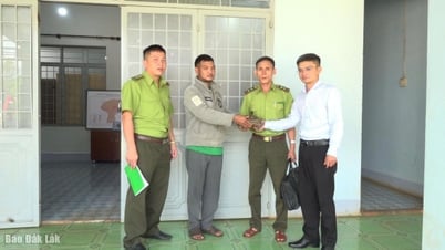 Người dân xã Pơng Drang giao nộp rùa núi vàng quý hiếm