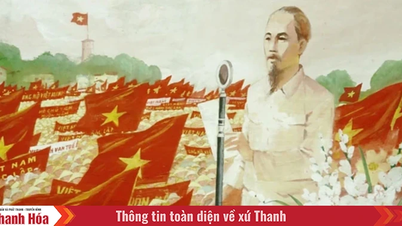 Ba Đình rực nắng cờ hoa