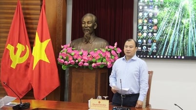 Lễ kỷ niệm 80 năm Ngày truyền thống ngành Văn hóa: Trang trọng, ý nghĩa, để lại dấu ấn