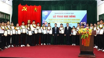 Học bổng thu hút sinh viên tài năng