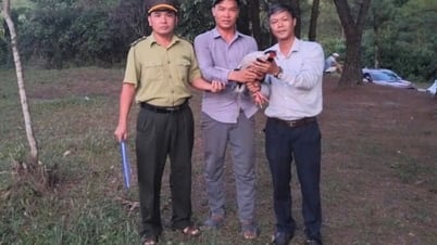 Lần đầu tiên UBND cấp xã tiếp nhận cá thể động vật rừng quý hiếm