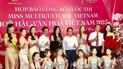 Hoa hậu Văn hóa Việt Nam 2025: Sân chơi nhan sắc tôn vinh trí tuệ và bản sắc dân tộc