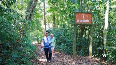 Những lưu ý khi đi trekking một mình