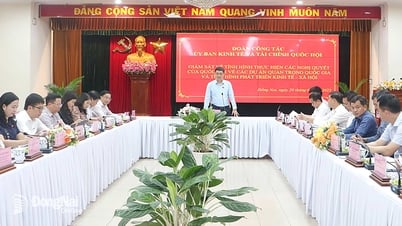 Đồng Nai cần đẩy nhanh giải ngân vốn đầu tư công