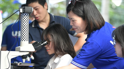 Tuyển sinh đại học 2025: Khối ngành sư phạm, STEM lên ngôi