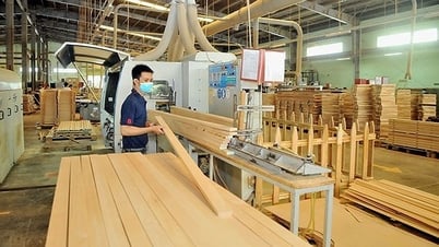 Invitar a las empresas a asistir a la Delegación Comercial, promover y publicitar las marcas vietnamitas en los Estados Unidos.