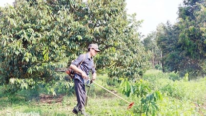 Hạnh phúc từ ý chí mạnh mẽ