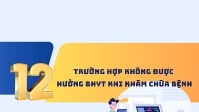 12 trường hợp không được hưởng bảo hiểm y tế khi khám, chữa bệnh