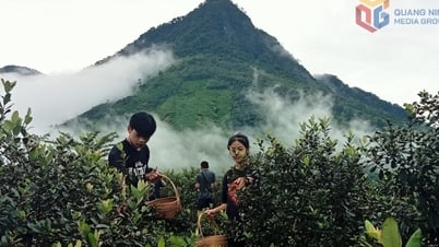 Xã Hải Sơn: Xây dựng nông thôn mới nâng cao, hiện đại