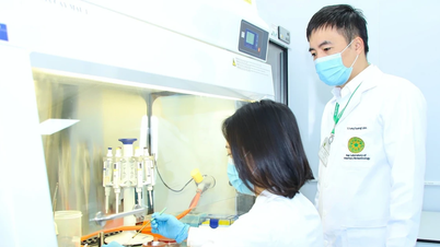 学術的誠実さは不可欠です。