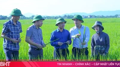 Chủ động phòng trừ dịch bệnh trên cây trồng, vật nuôi