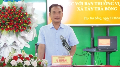 Xã Tây Trà Bồng tập trung phát triển kinh tế gắn với tiềm năng, lợi thế