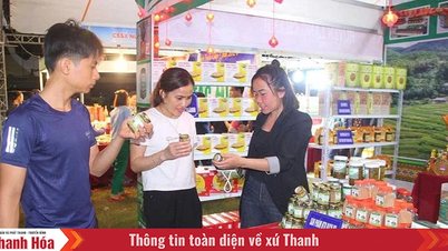 Đảm bảo thông suốt nhiệm vụ xây dựng nông thôn mới sau sáp nhập