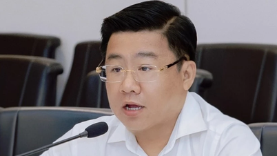 Professor Dr. Nguyen Khac Quoc Bao serves as Chairman of the Board of Directors of the Ho Chi Minh City University of Economics.