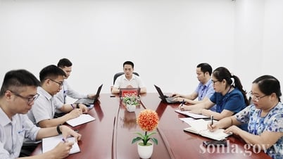 Văn phòng UBND tỉnh làm việc với VNPT Sơn La về nâng cấp Cổng Thông tin điện tử tỉnh