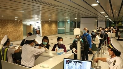 Sẵn sàng ứng phó trước nguy cơ dịch Chikungunya xâm nhập