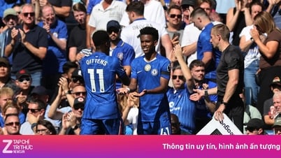 Nghịch lý Chelsea