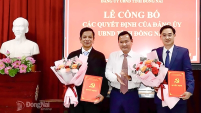 Ông Nguyễn Văn Toàn giữ chức Bí thư Đảng ủy Trường đại học Đồng Nai