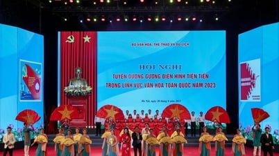 Hướng dẫn khen thưởng gương điển hình tiên tiến giai đoạn 2020 - 2025