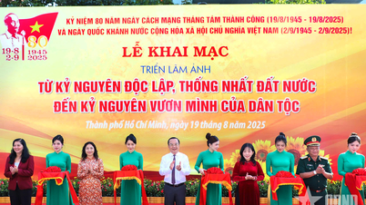 Tổng hợp thông tin báo chí liên quan đến TP. Hồ Chí Minh ngày 20/8/2025