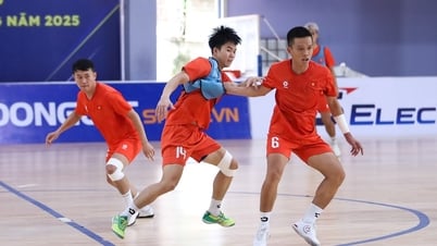 Tuyển Futsal Việt Nam bước vào tập luyện, chuẩn bị cho vòng loại giải châu Á 2026