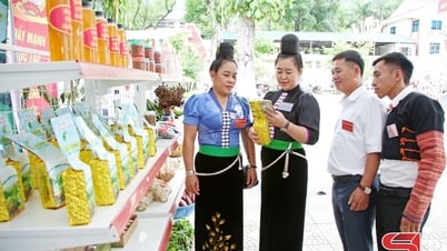 Giúp nông sản Sơn La đứng vững trên thị trường