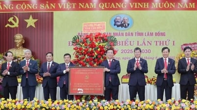 Nghiên cứu, đề xuất các cơ hội và nguồn lực để Lâm...