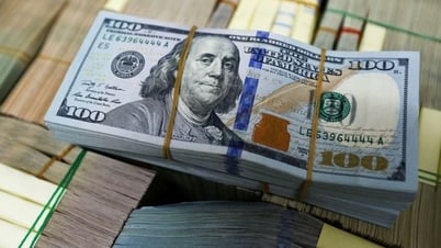 Tỷ giá USD hôm nay (20-8): Đồng USD biến động trái chiều