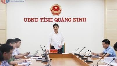 UBND tỉnh:  Nghe báo cáo về công tác quản lý nhà nước về tài nguyên, khoáng sản