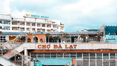 Bí quyết đặt phòng khách sạn gần chợ Đà Lạt với Traveloka