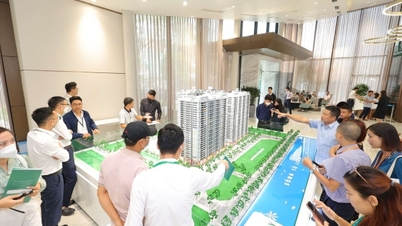 Le marché immobilier est en pleine effervescence avant le mois des fantômes grâce au renforcement des infrastructures pour célébrer la fête nationale