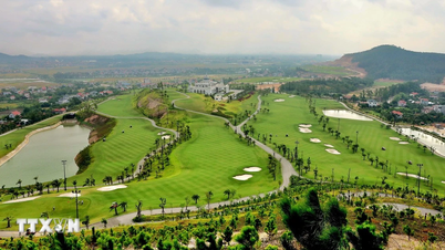 Du lịch golf Việt Nam hướng tới doanh thu 1 tỷ USD