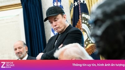 Elon Musk dừng kế hoạch lớn
