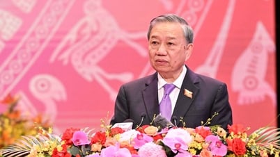 وتحافظ الحكومة على هذا التقليد المجيد الذي يمتد لثمانين عامًا، حيث خدمت الوطن والشعب بكل إخلاص.