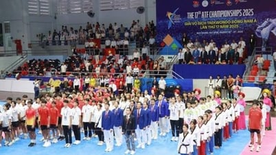 Giải vô địch Taekwondo Đông Nam Á 2025: Tôn vinh tinh thần hữu nghị và đoàn kết
