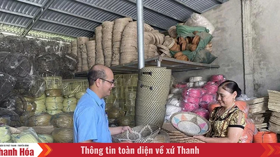 Hiệu quả hoạt động của Quỹ hỗ trợ phát triển HTX