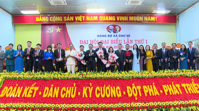 Xã Chư Sê phấn đấu trở thành vùng động lực quan trọng phía Tây Gia Lai