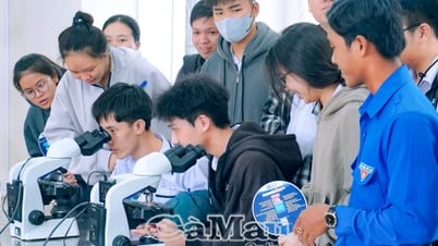 Trường Đại học Bạc Liêu công bố ngưỡng đầu vào tuyển sinh 2025