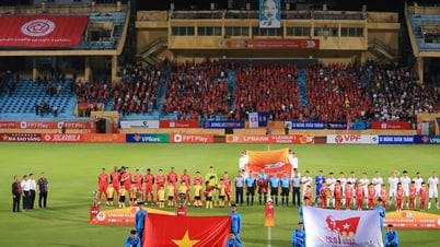 Bất ngờ đến từ tân binh và Việt kiều