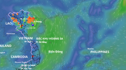 Ngành Giáo dục chủ động ứng phó, giảm thiểu thiệt hại do áp thấp nhiệt đới