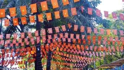 Ngắm Đồng Nai rực rỡ cờ hoa đón mừng 80 năm Quốc khánh 2-9