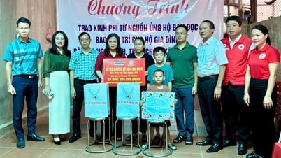 Hội Chữ thập đỏ tỉnh trao hỗ trợ cho các gia đình có hoàn cảnh khó khăn